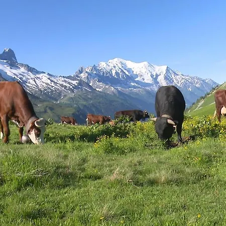 New Cocon Chic 2 Ou 4 Pers Et Montagne Apartman *